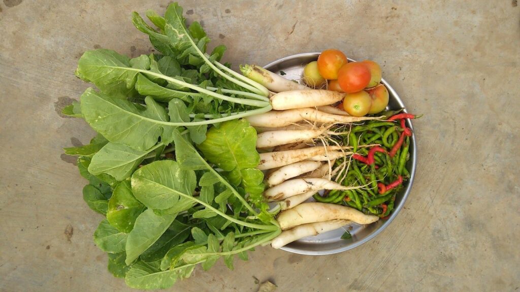 8 Health Benefits of Radish Leaves: From Scrapes to Superfoods